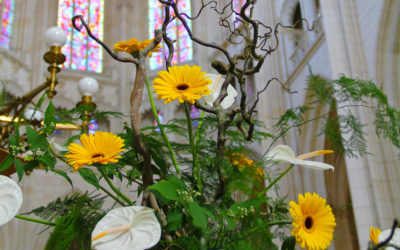 Parcours floral à la Cathédrale de Nantes