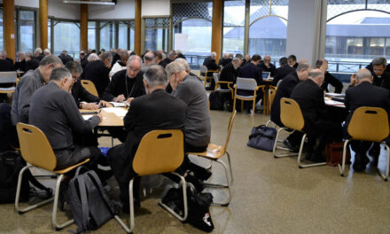 90e Assemblée plénière des Évêques à Lourdes