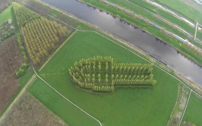 Le service formation travaille pour vous !