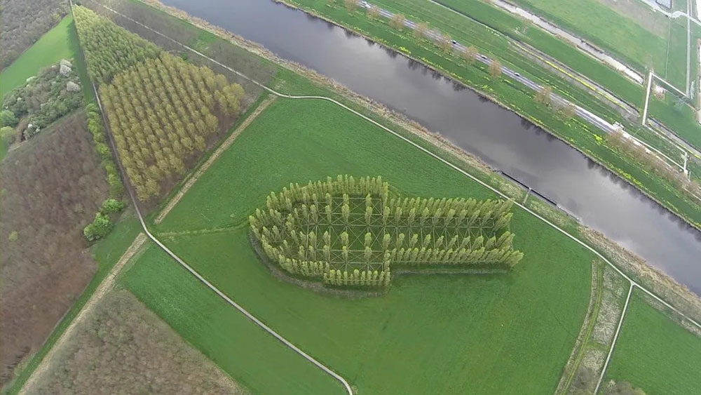 Le service formation travaille pour vous !