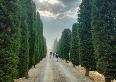 Aout 2025 : la Toscane