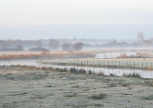 Zone humide du Brivet