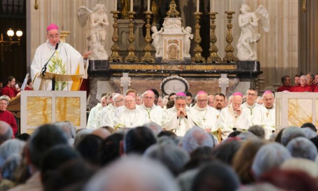 Réouverture de la cathédrale