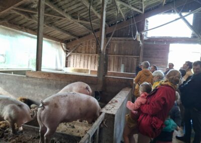 Visite d'une ferme