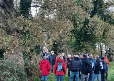 Balade le long du Brivet, commentaires sur la haie et le bocage