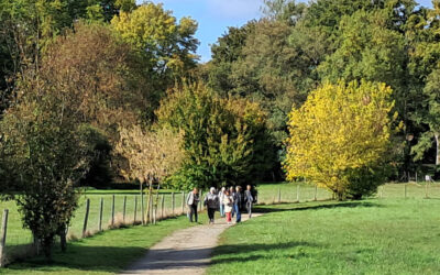 Des arbres pour créer du lien en nous