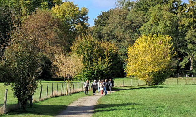 Des arbres pour créer du lien en nous