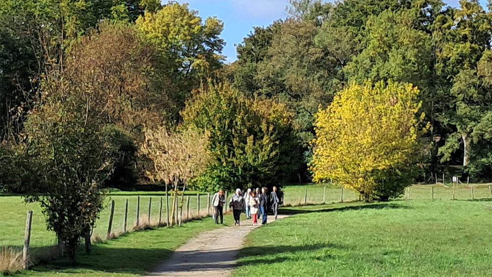 Des arbres pour créer du lien en nous