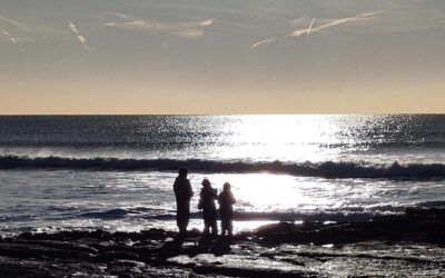 Écologie Intégrale